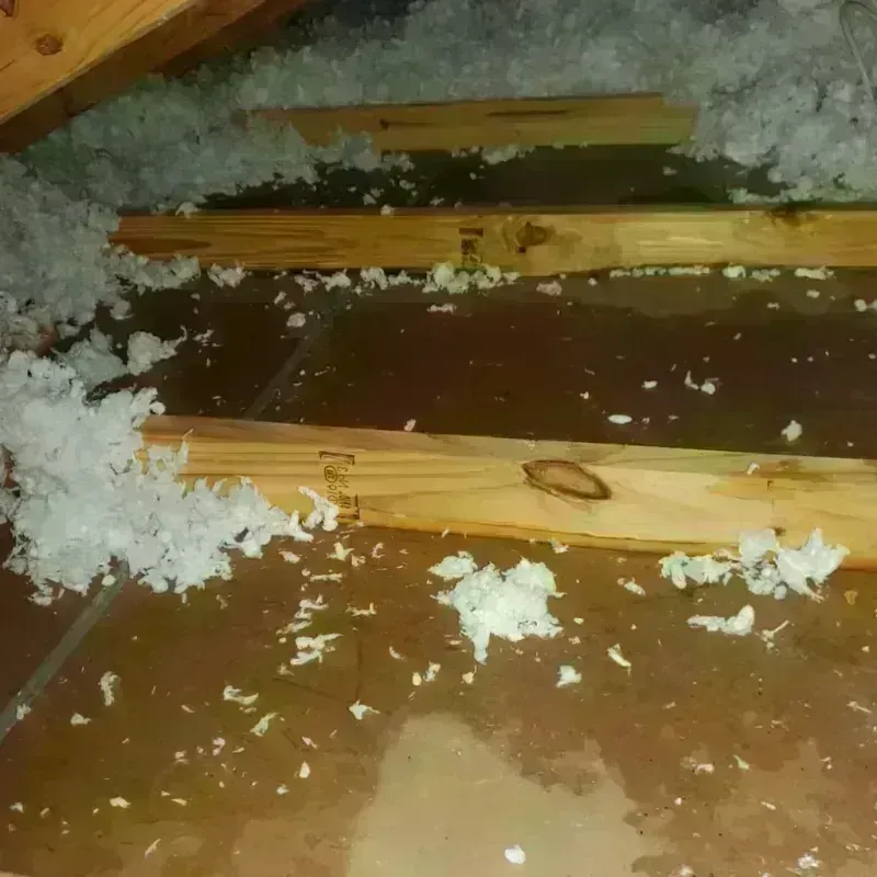 Attic Water Damage in Lake County, TN