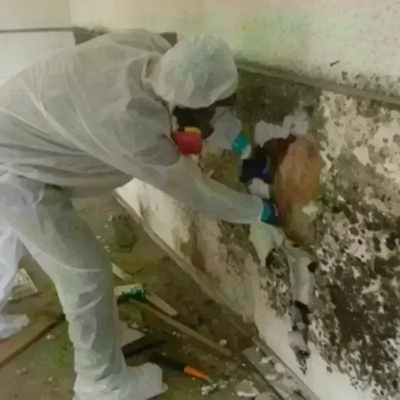 Mold Remediation and Removal in Lake County, TN