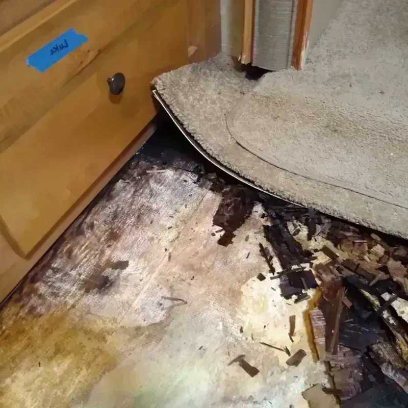 Wood Floor Water Damage in Lake County, TN